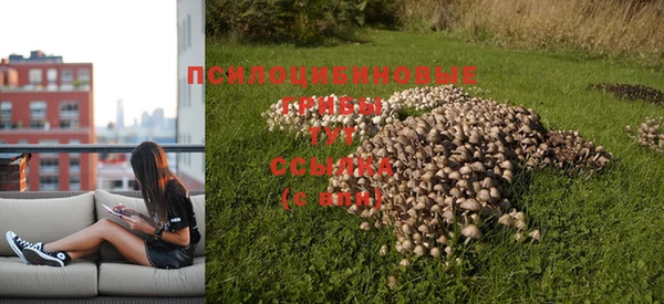 героин Богородск