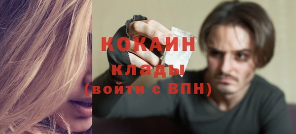 мдпв Богданович