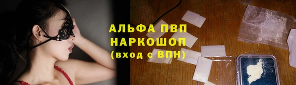 мдпв Богданович
