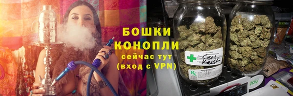 трава Богородицк