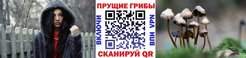 Галлюциногенные грибы прущие грибы  наркошоп  Мелеуз 